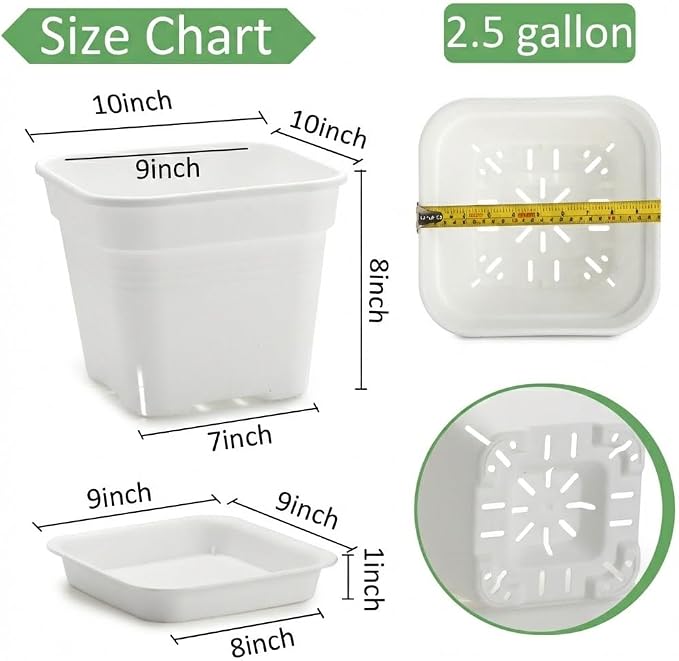 10 Inch Square Planters with Saucers - 5 Pack Large White Plastic Plant Pots with Raised Airflow Center & Corner Vents - Heavy Duty 5mm Thick Orchid Pots for Indoor Outdoor Vegetables & Trees