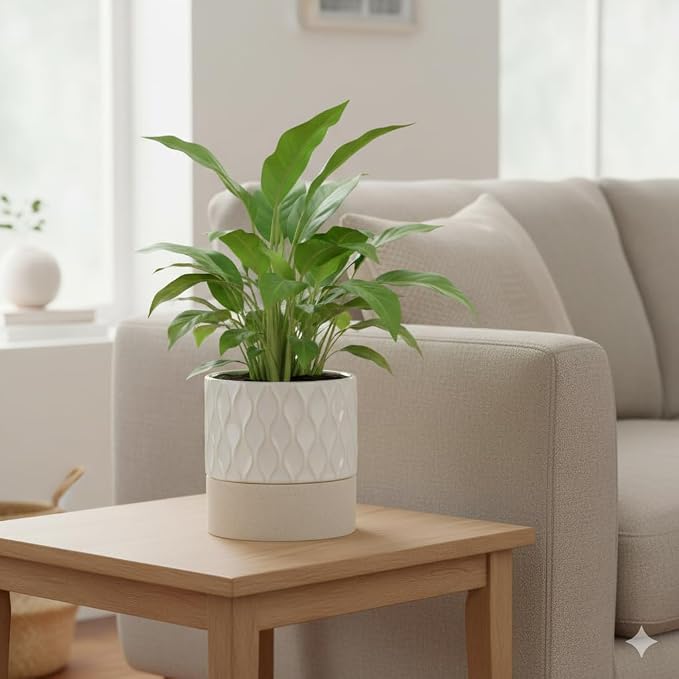 Nihow Ceramic Self Watering Plant Pot for Indoor Plants, 6 Inch,Cream White | Planter with Cotton Wick, Drainage Hole & Water Storage Plus, Cylinder Round Flower Pot, For Succulent/Herbs/Violets