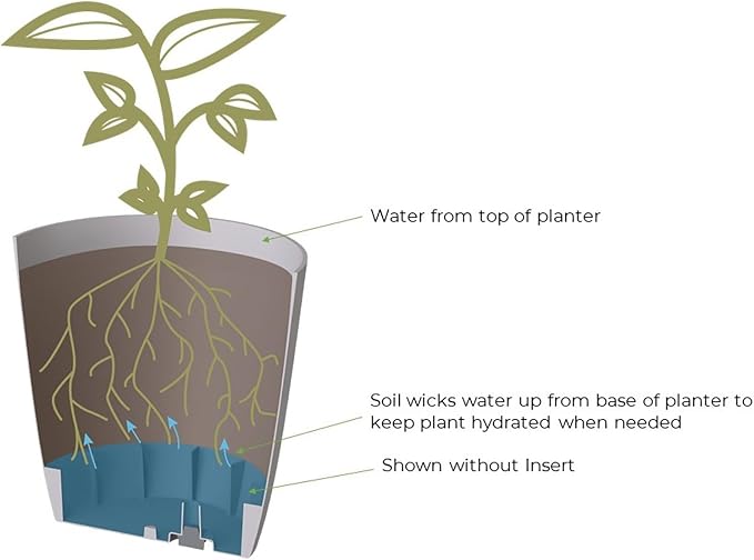 The HC Companies Aria Self Watering Square Plant Pot w/Drainage - Planters for Outdoor Plants & Indoor Plants - Lightweight & UV-Resistant Plastic Pots for Plants (8" Glossy Black, Pack of 2)