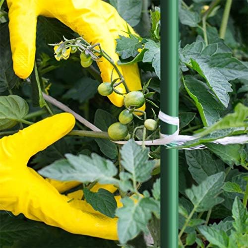 72-Inch Garden Stakes, 5/16-Inch Dia Plant Stakes for Orchid Sunflower, 50pack 6ft Robs