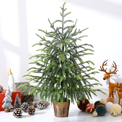 BLEUM CADE 2FT Small Norfolk Pine Tree with Pot, Table top Christmas Tree by BLEUMCADE