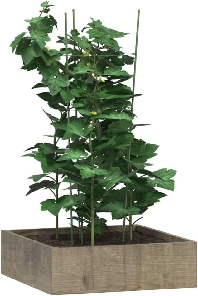 5 Pcs Green 29.5" Steel Garden Plant Supports with 3 Rings for Climbing Fruits, Flowers, Vegetables, Tomato Cage for Indoor Outdoor Pots