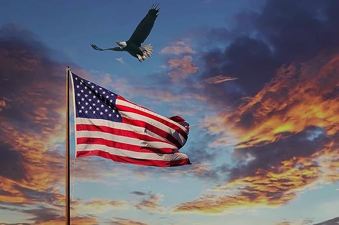 American Flag 5x8 ft for Outside, Long Lasting US USA Flags for Outdoor | All Weather United States Flag 5 x 8 Feet Premium Heavy Duty Nylon, Embroidered Stars, Brass Grommets, 4-Row Stitching End