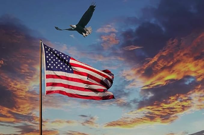 American Flag 3x5 ft for Outside, Long Lasting US USA Flags for Outdoor | All Weather United States Flag 3 x 5 Feet Premium Heavy Duty Nylon, Embroidered Stars, Brass Grommets, 4-Row Stitching End