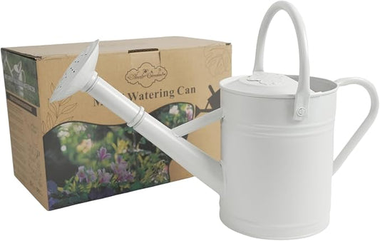 1 Gallon White Metal Watering Can for Indoor and Outdoor Plants, Removable Watering Rose and Spout, Dual Handle Garden Water Can for Patio, Greenhouse and Houseplants