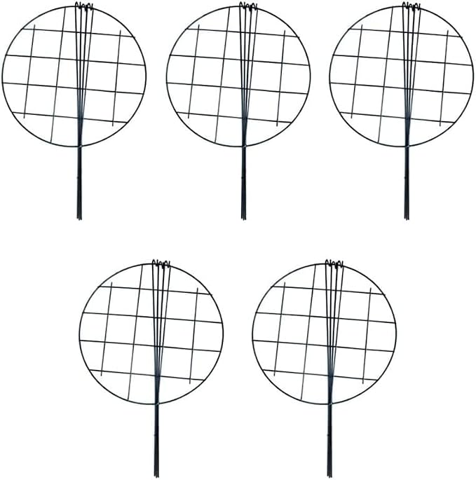 5 Pack 20 x 30 inch Poeny Cage Grow Through Grid Plant Brace Flower Support Rings, Round Metal Plant Stakes Rings, Strong Large Garden Supports for Flowers, Peonies, Rose, Lily