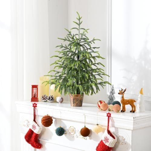 BLEUM CADE 2FT Small Norfolk Pine Tree with Pot, Table top Christmas Tree - Image 5