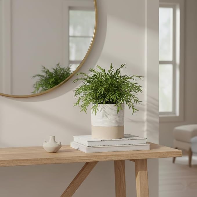 Nihow Ceramic Self Watering Plant Pot for Indoor Plants, 6 Inch,Cream White | Planter with Cotton Wick, Drainage Hole & Water Storage Plus, Cylinder Round Flower Pot, For Succulent/Herbs/Violets