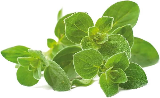 Click and Grow Smart Garden Oregano Plant Pods, 3-Pack