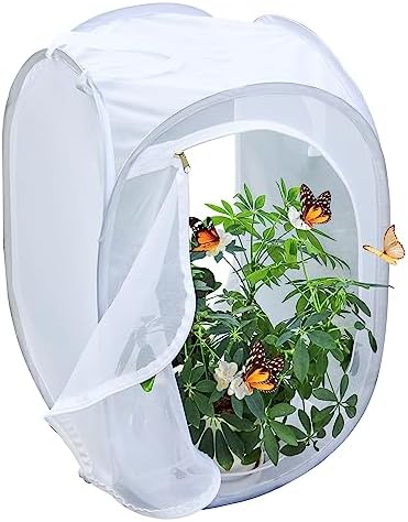 Pop‑up Butterfly Habitat Enclosure with High‑Clear PVC Panel & Fine Mesh - Image 6
