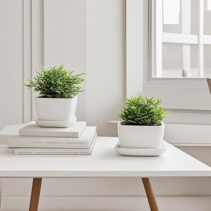 Square Ceramic Plant Saucer Tray 2 Pcs 4 Inch White, 4.8" OD x3.9 ID x0.7 Deep, Sturdy Heavy Duty Glazed Planter Drip Flower pots with Catch Basin for Indoor Outdoor Plants(4" White)