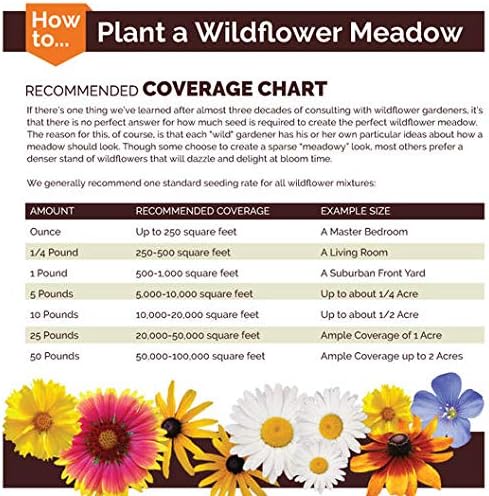 Non GMO Bulk Calendula Seeds- Fancy Mix Calendula officinalis (5 lbs)