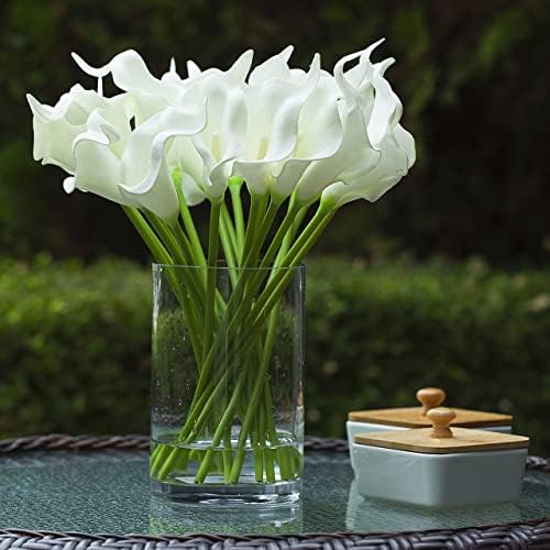 Enova Floral Clear Glass Cylinder Vase 6 x 10 Inches Round Flower Vase, Pillar Candle Floating Candle Holder Vase, Tall Glass Vase for Flowers, Glass Vase for Decor, Wedding Centerpieces (1 Piece) - Image 4