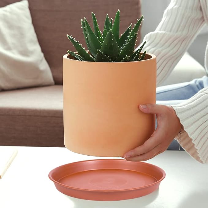 6 Pack of 4 inch Plant Saucer, Heavy Duty Plastic Plant Water Tray 4 inch Round, Pebble Tray, Plant Saucers for Indoors, Plant Dishes Saucer for Planter 3"/4" (4 inch, Terracotta)