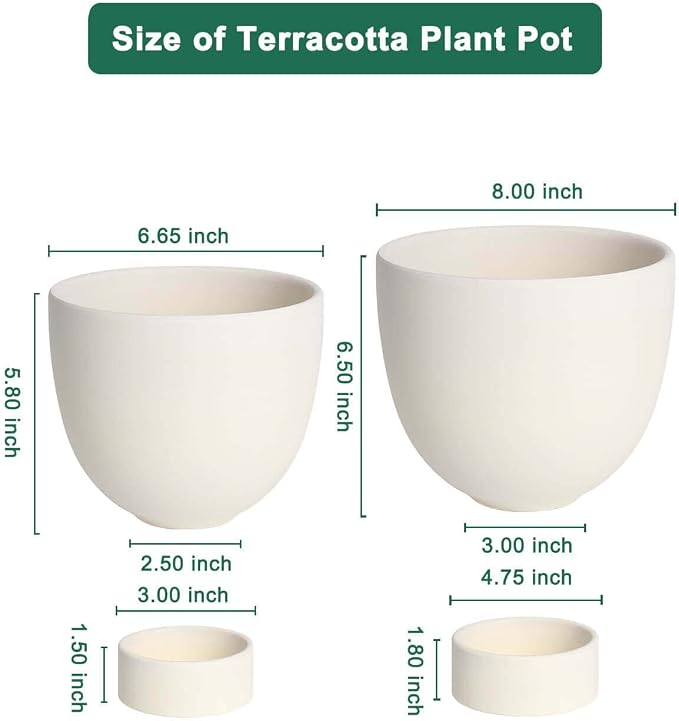 vensovo White Terracotta Self Watering Plant Pot - 2 PCS 6 Inch & 8 Terra Cotta with Drainage Hole and Saucer, Small & Large Clay Flower Pot with Tray, Plant Pot for Indoor Outdoor