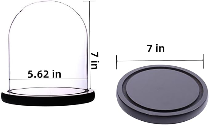 Glass Cloche Bell Jar Display Dome 5.6x7 Inch, Clear High Borosilicate Glass Bell Jar with Black Wooden Base, Dustproof Display Case for Plants Candles Jewelry Home Wedding Decor
