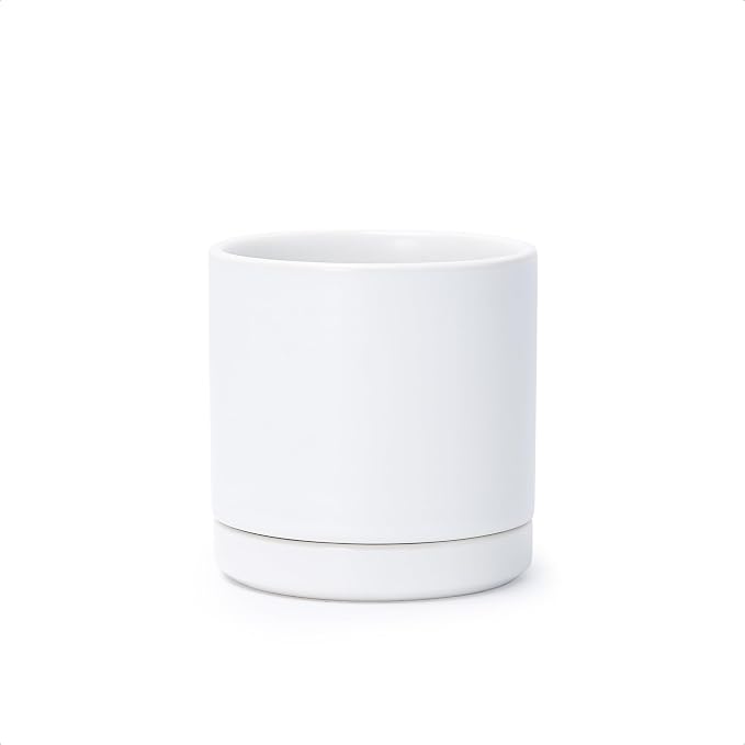 D'vine Dev 3.5 Inch Ceramic Planter Pot with Drainage Hole and Saucer, Indoor Cylinder Round Planter Pot, White, 94-O-A-1