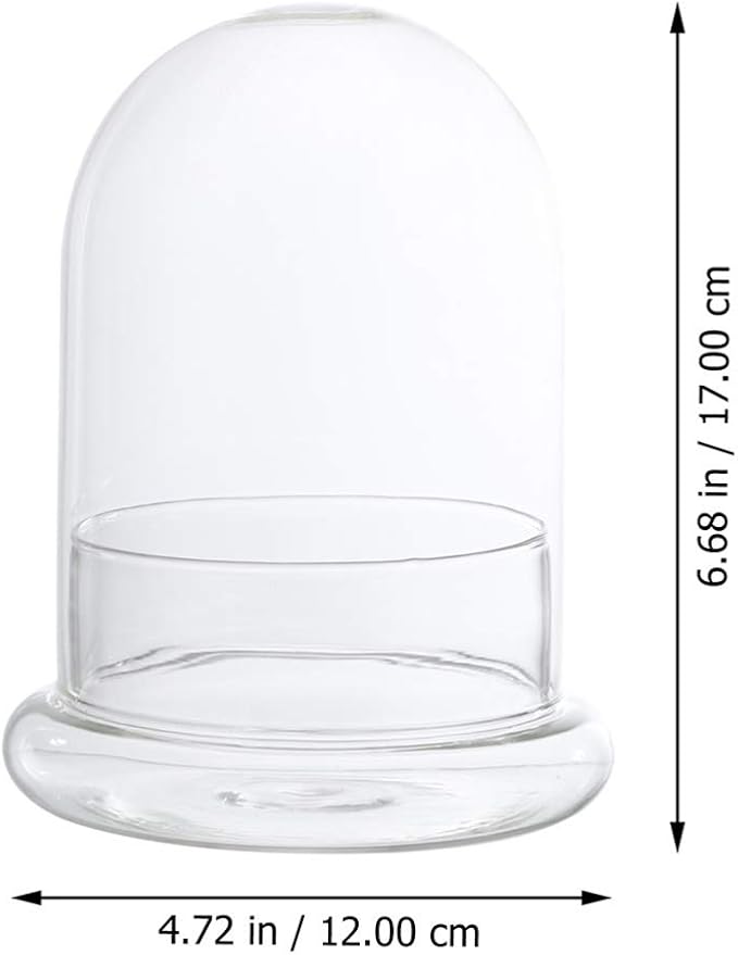 2-Pack Glass Terrarium Jar with 8mm Vent Hole, Clear Plant Dome Cloche Container for Moss DIY, Micro Landscape Flower Ecological Bottle