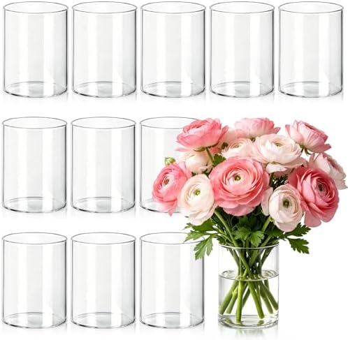 12 Pack Small Glass Cylinder Vases for Centerpieces, 4 Inch by Jibrelxion