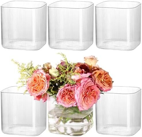 Square Clear Glass Vases Set of 6, 5" x 5" x 5" Flower Vases for Centerpieces, Square Vase for Centerpieces, Small Ribbed Flower Vases for Wedding, Party, Home Office Decoration by TripodBird