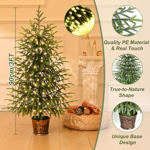BLEUM CADE 3FT Small Norfolk Pine Tree with Lights, Tabletop Christmas Tree - Image 2
