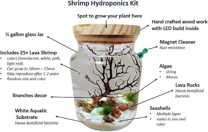 Shrimp Jar Kit with LED Light (Shrimp Included)