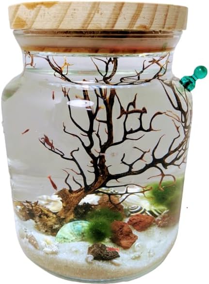 Shrimp Jar Kit with LED Light (Shrimp Included)