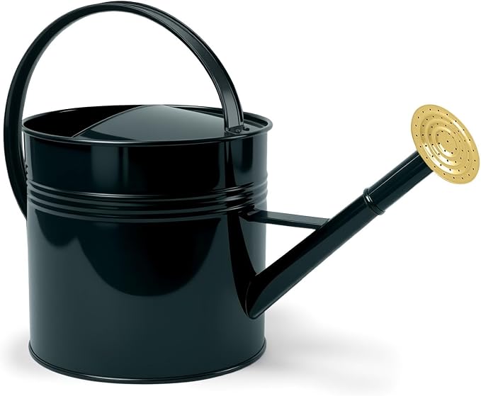 LONGRUN 2.5 Gallon Dark Green Metal Watering Can for Plants and Garden with Removable Spout, Made of Galvanized Iron