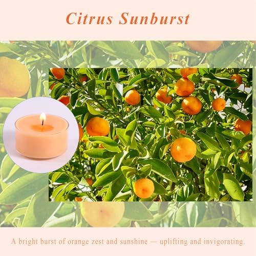 Scented Tea Lights Candles, Citrus Sunburst, 16 Pack – Vibrant Orange Scented Tealight Candles – 100% Palm Wax, 6 Hour Burn Aromatherapy Tea Light Votive Candle for Holiday Gatherings, Festive Decor - Image 2