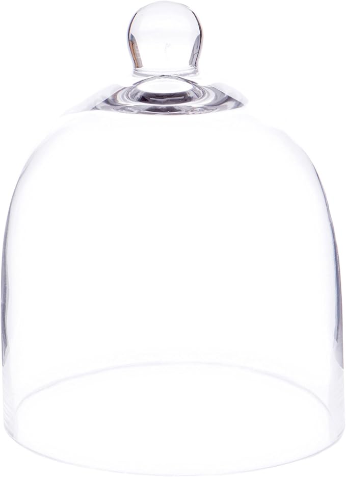 Plymor 6" x 7" Bell Jar Glass Display Dome Cloche (Small - Interior Size 5.75 inch x 5.75 inch)