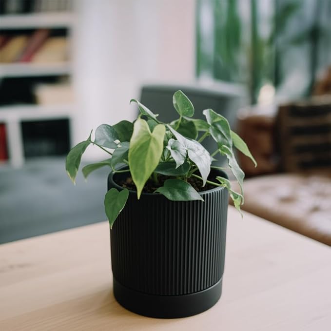 HERDUK 6 Inch Ceramic Plant Pot with Drainage & Saucer - Indoor Planter for Succulents, Cacti & Aloe Vera - Striped Design, High-Temp Fired Clay, Lightweight Modern Decor