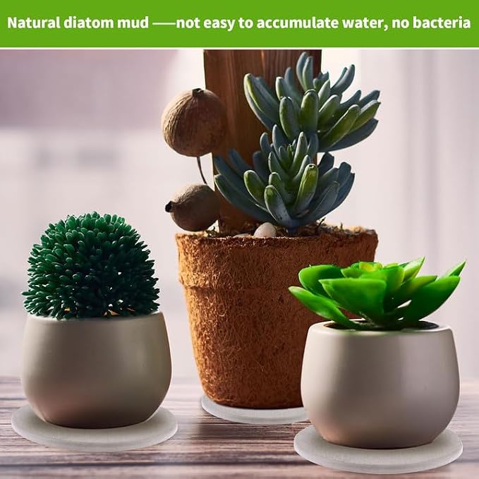 12Pcs Diatomaceous Earth Coaster 4/6/8inch Diatomite Plant Saucer Stone Plant Sourcer Instant Dry Water Absorbent Diatomite Tray Water Absorbent Plant Coasters Diatomaceous Earth Mat Absorbent Pad