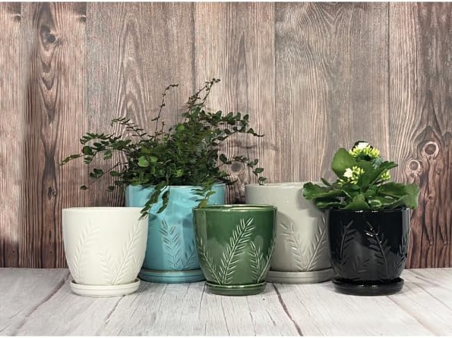 Aspen & Fig Black 8 Inch Indoor Ceramic Plant Pot with an Attached Saucer and Drainage Hole for House Plants, Herbs, Flowers, Succulent, Snake Plants, Gifts for Mom, Standard Pot
