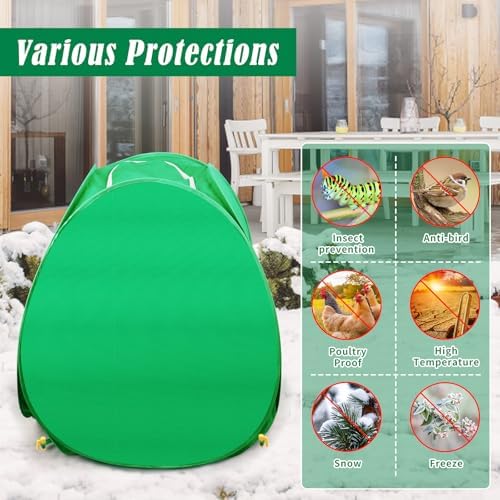 2 Pack Pop Up Winter Plant Covers, 35x35x39 Freeze Protection Shrub Covers - Image 4