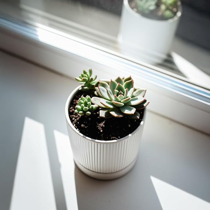 HERDUK Small Plant Pots, 4 Inch Pots for Indoor Plants, Modern Minimalist Ceramic Plant Pots with Drainage Hole & Saucer, White Set of 2