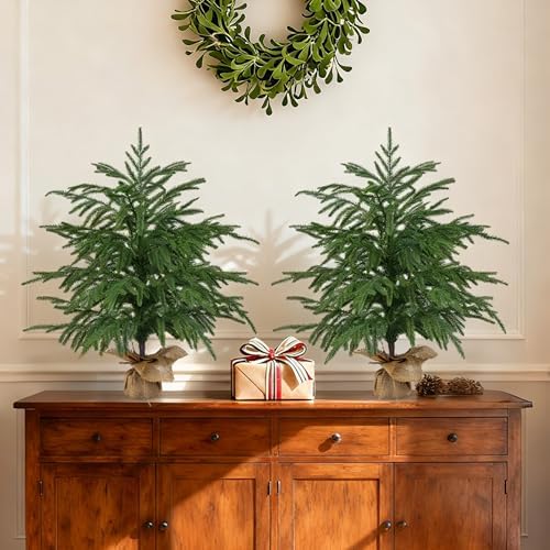 2 Pack 2FT Artificial Norfolk Pine Tree with Pot by FEELTHENEWWORLD