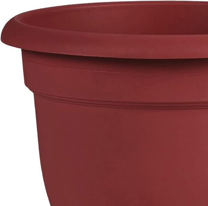 Bloem Ariana Self Watering Planter: 12" - Burnt Red - Durable Resin Pot, for Indoor and Outdoor Use, Self Watering Disk Included, Gardening, 3 Gallon Capacity