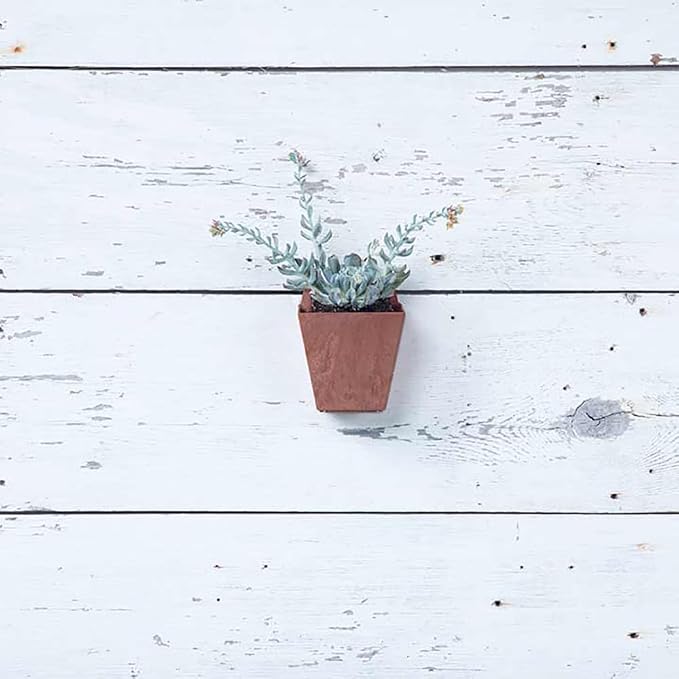 Root & Vessel Self Watering Wall Planters for Indoor or Outdoor Plants, Unique Marbled Wall Pot, Made of Eco-Friendly Blend of Stone and Plastic, Rust, 5.5"