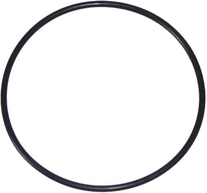 Waterway Hi-Flo Series Pump Trap Lid O-Ring 6" O-318 805-0436
