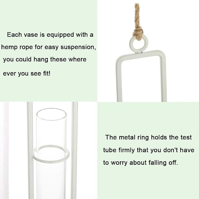 Sziqiqi Hanging Clear Glass Propagation Station Tube Vases for Cuttings, Buds, Greenery Hydroponic Plant Propagation Home Balcony Bath Wall Decoration Floral Container Set of 3 Ivory
