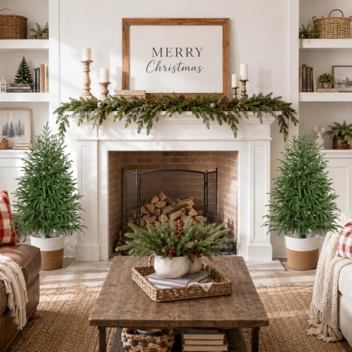 3FT Small Christmas Tree with Lights, Pre-Lit Norfolk Pine Tree Potted - Image 4
