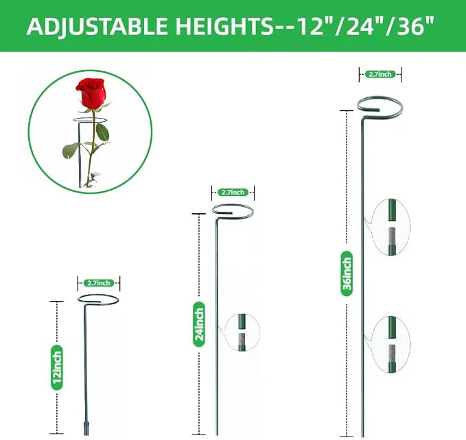 4-Pack Adjustable Plant Support Stakes - Heights: 12"/24"/36" - Stainless Steel & Deep Green - Plant Stakes for Indoor & Outdoor Plants, Gardens, Flowers, Tomatoes, & Vegetables