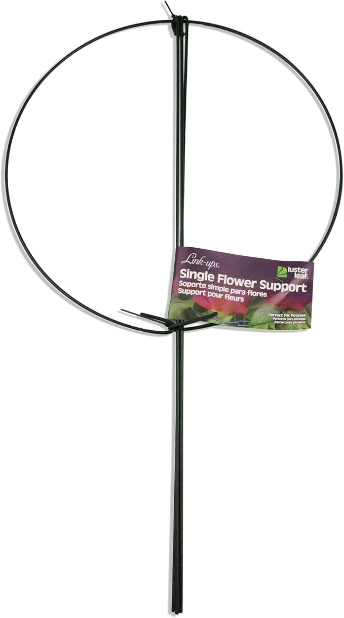 Luster Leaf 967 Small Single Peony Flower Support