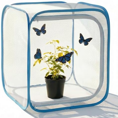 Insect & Butterfly Habitat Cage, Portable Pop-Up Terrarium with Mesh Sides, Bug Catching & Observation Enclosure for Caterpillars, Small Insects, Outdoor & Classroom Use, 12 Inches Tall by Unknown