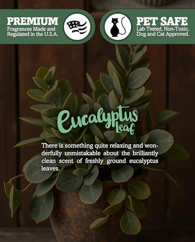 Eucalyptus Leaf Soy Votive Candles - Scented with Essential & Natural Oils - 6 Green Natural Votive Candle Refills - Fresh & Clean Collection - Image 5