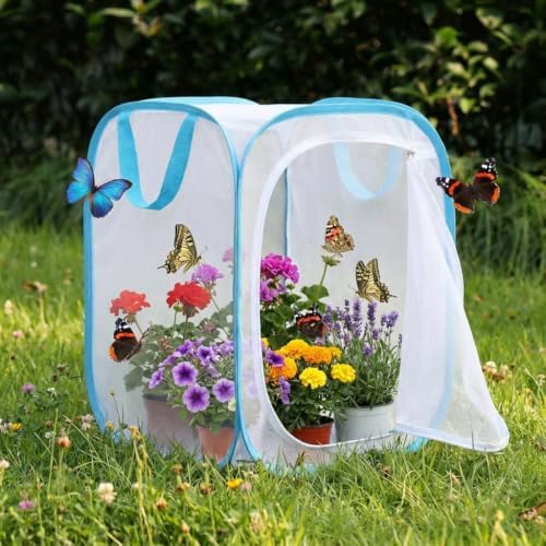 Insect & Butterfly Habitat Cage, Portable Pop-Up Terrarium with Mesh Sides, Bug Catching & Observation Enclosure for Caterpillars, Small Insects, Outdoor & Classroom Use, 16 Inches Tall - Image 6
