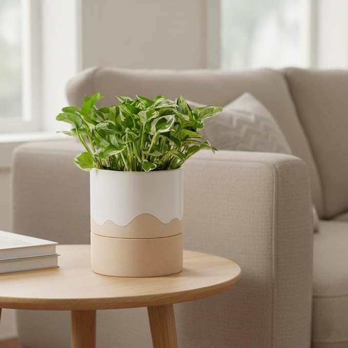 Nihow Ceramic Self Watering Plant Pot for Indoor Plants, 6 Inch,Cream White | Planter with Cotton Wick, Drainage Hole & Water Storage Plus, Cylinder Round Flower Pot, For Succulent/Herbs/Violets