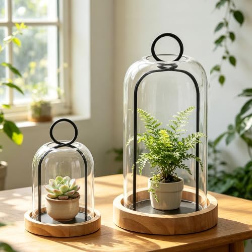Set of 2 Versatile Black Metal Candle Holder with Handmade Sturdy Glass Dome And Natural Wooden Base for Pillar Candle & Plants, Industrial, Farmhouse, Shabby Chic, Decorative Display Cloche Bell Jars - Image 4