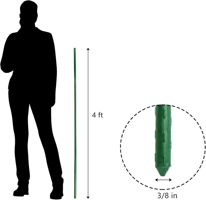 Frcctre 30 Pack 4 Ft Garden Stakes, 48 Inch Sturdy Green Plant Sticks, Plastic Coated Metal Tomato Stakes Support Plant Climbing Support for Tomatoes, Cucumber, Fences, Beans, Potted Plants