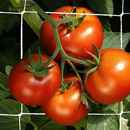 Trellis Netting, CANAGROW Heavy-Duty Garden Plant Trellis Netting for Climbing Plants, Outdoor Indoor Grow Net for Beans Tomatoes Peas Pumpkin Flowers, 6x30ft, 1 Pack - Image 4